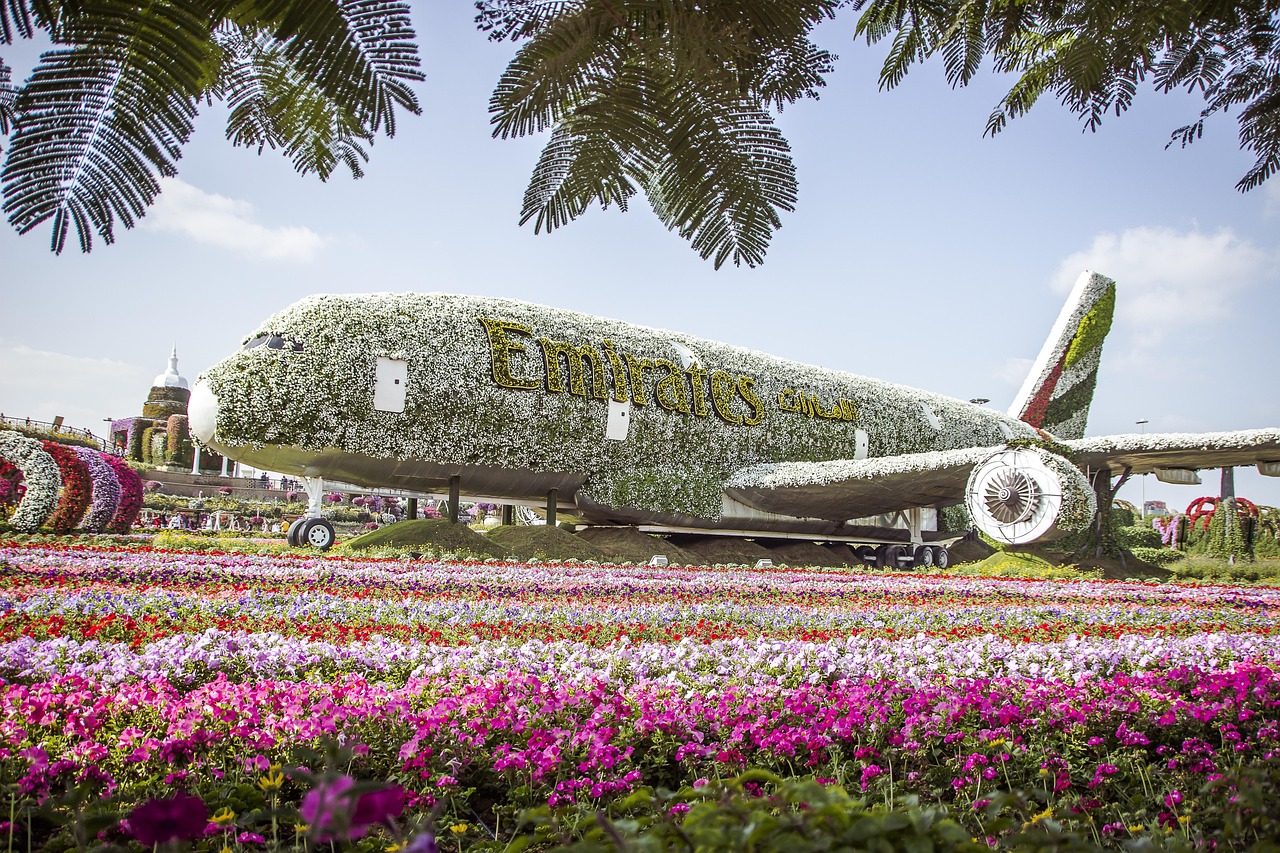 Dubai Miracle Garden floral airplane covered in colorful flowers